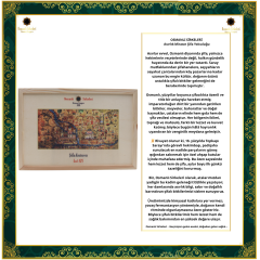 ŞİFA KUTUSU M29 (Diyabet ”Şeker'')