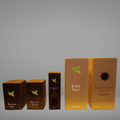 H. PYLORİ (HELİKOBAKTER PİLORİ) SET
