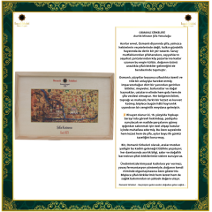 ŞİFA KUTUSU  O29 (İktidarsızlık)