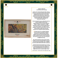 ŞİFA KUTUSU  H29 (Merkezi Sinir Sistemi)