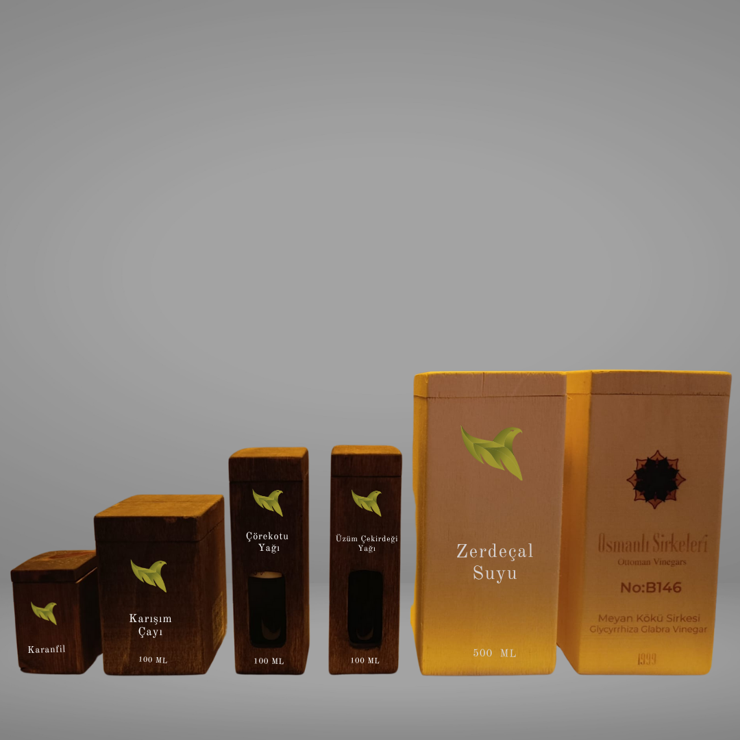 MEYAN KÖKÜ SİRKESİ SETİ