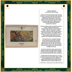 ŞİFA KUTUSU  C29 (Solunum Yolu Hastalıkları)