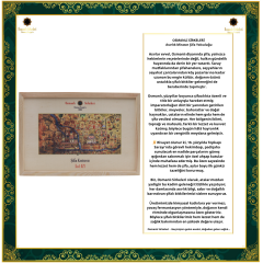 ŞİFA KUTUSU  R29 (Prostat)