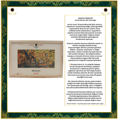 ŞİFA KUTUSU  D29 (Safra ve Böbrek Taşı)