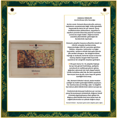 ŞİFA KUTUSU  T29 (Egzema “Seboreik Dermatit”)